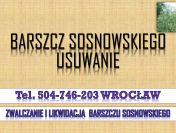 Likwidacja barszczu Sosnowskiego, tel. 504-746-203, Cennik, utylizacja